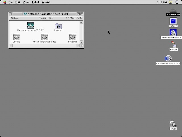 Netscape installed